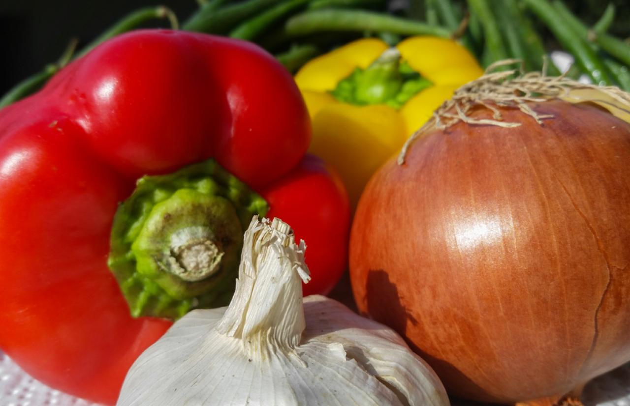 Mérieux NutriSciences_AgriFood Mérieux NutriSciences_AgriFood