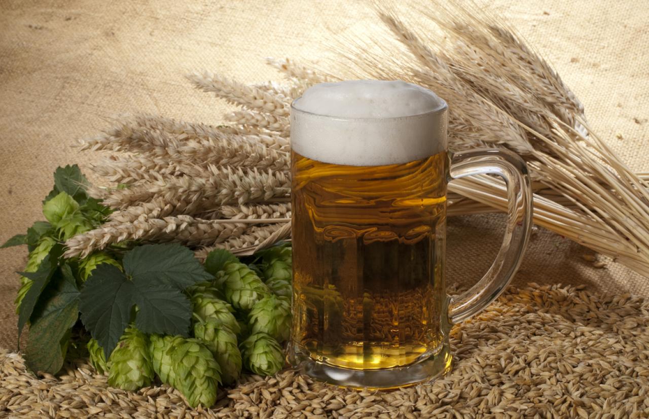 Mérieux NutriSciences_Beer Mérieux NutriSciences_Beer