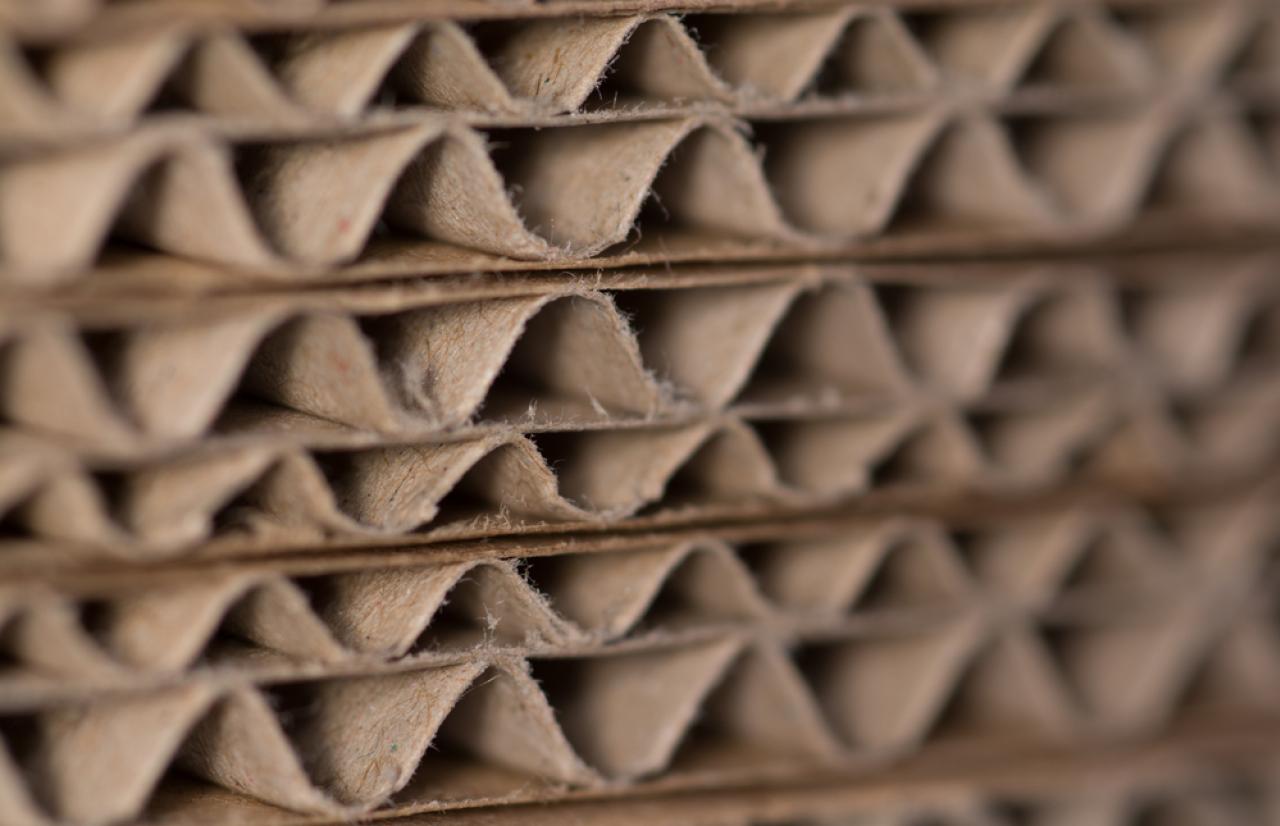 Mérieux NutriSciences_Cardboard Mérieux NutriSciences_Cardboard