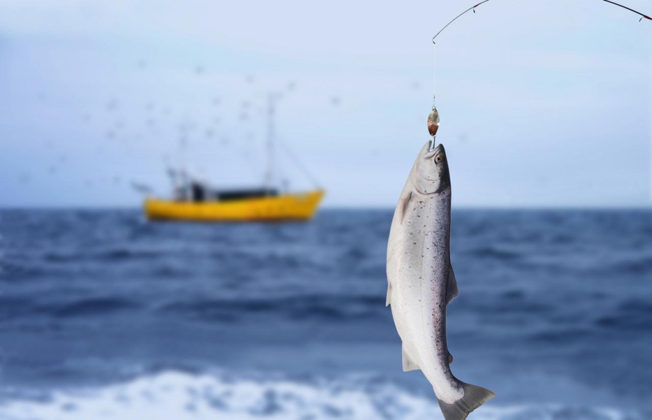 Mérieux NutriSciences_Fishing Mérieux NutriSciences_Fishing