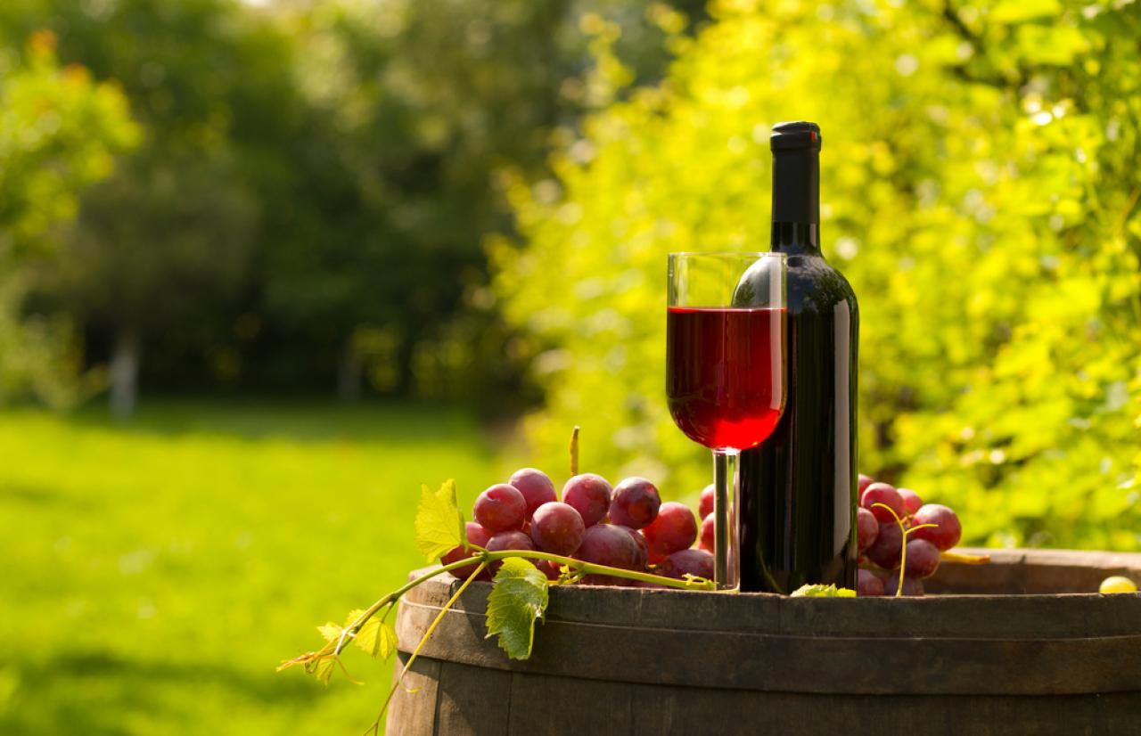 Mérieux NutriSciences_Wine Mérieux NutriSciences_Wine