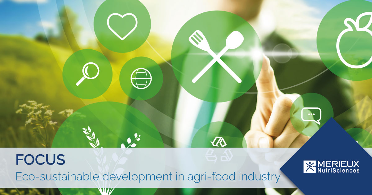 eco sustainable development in agri-food industry