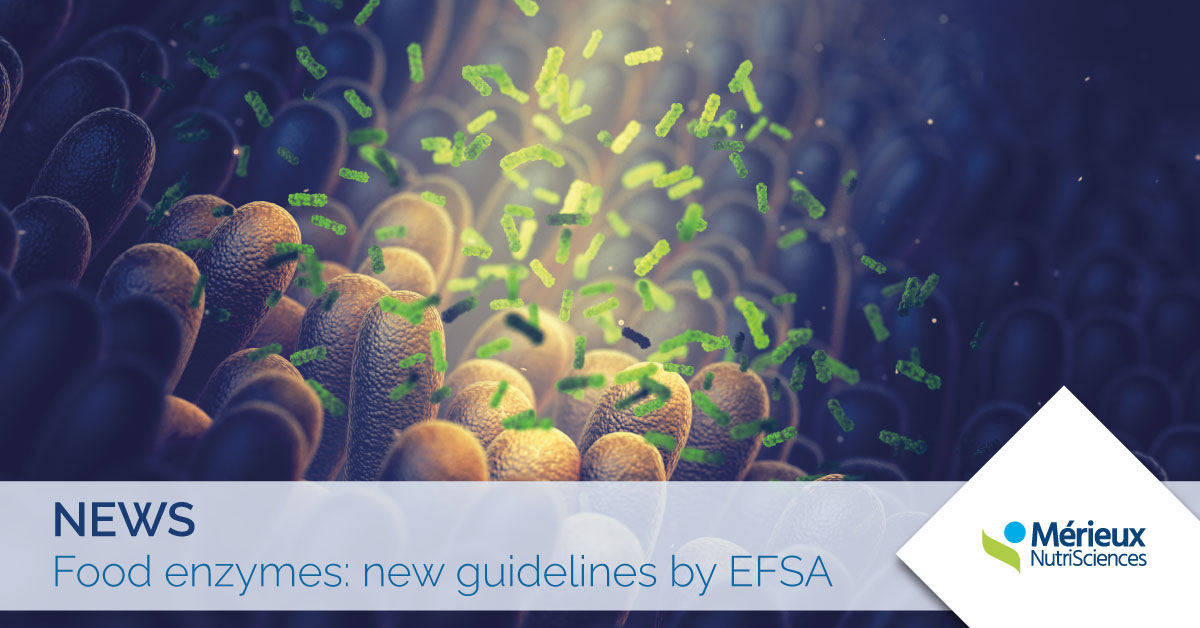 food enzymes new efsa guidelines