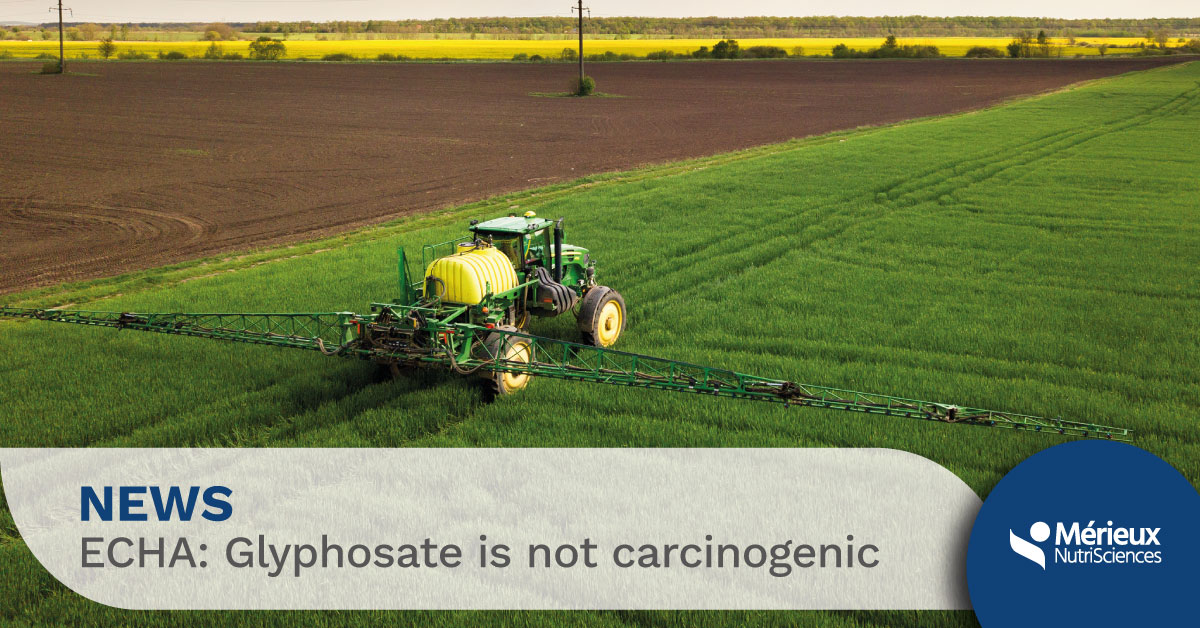 ghyphosate_echa_not_carcinogenic