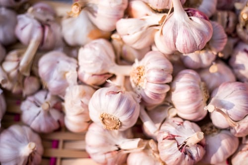 Merieux Nutrisciences_Garlic