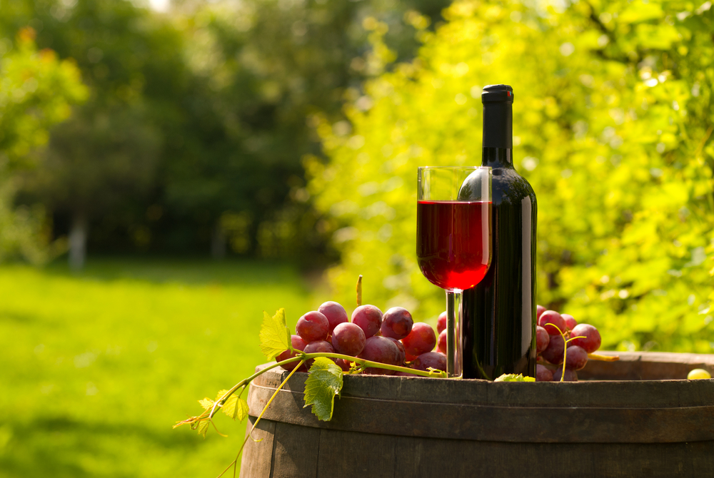 Mérieux NutriSciences Wine Italy