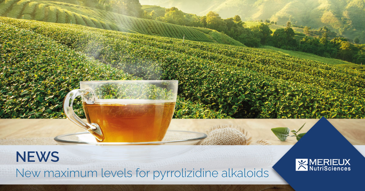 maximum levels of pyrrolizidine alkaloids