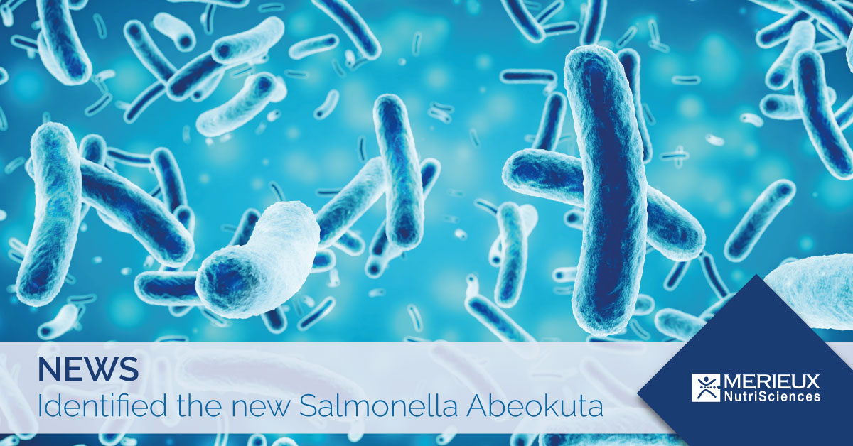 Salmonella abeokuta nigeria