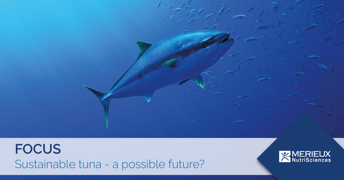 sustainable tuna, sustainable fishing