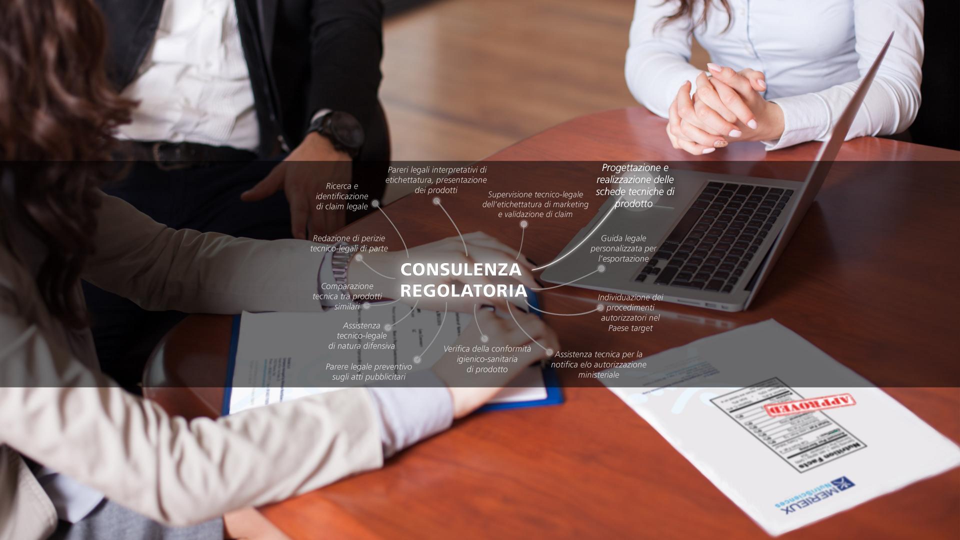 Mérieux NutriSciences - Planificación y creación de ficha técnica de producto Mérieux NutriSciences - Planificación y creación de ficha técnica de producto