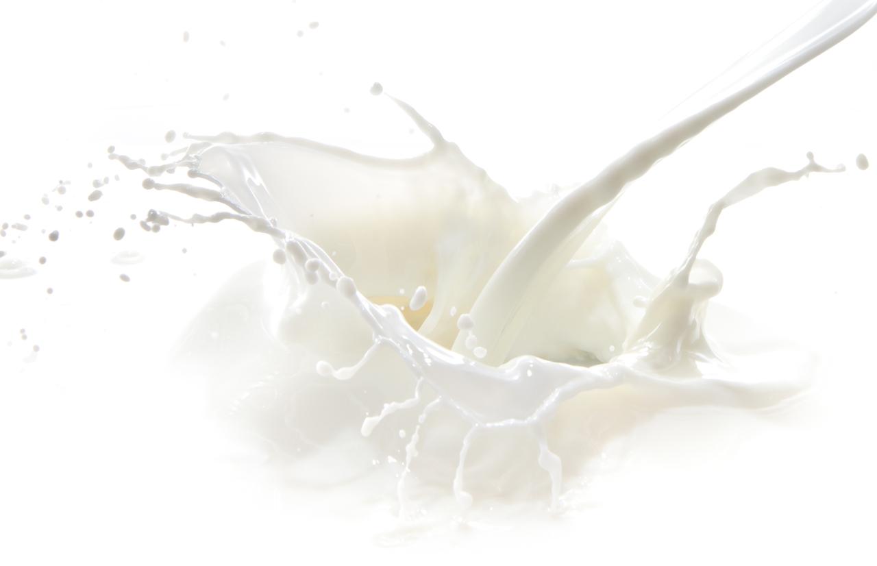 Milk and dairy products Milk and dairy products