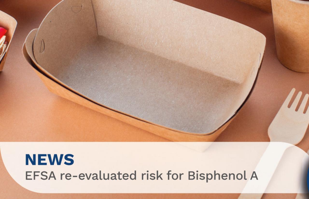 bisphenol a risk efsa