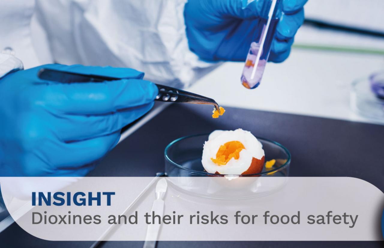 dioxines food safety risks