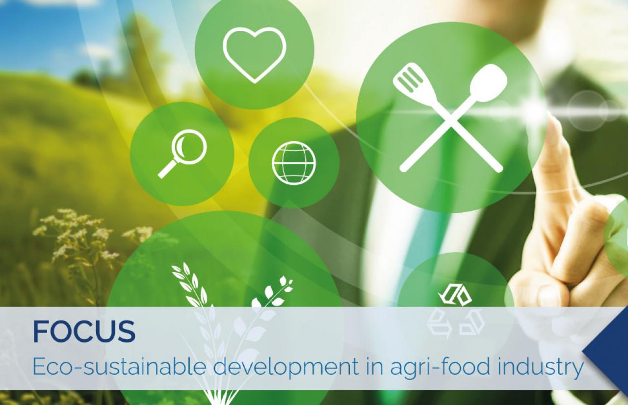 eco sustainable development in agri-food industry