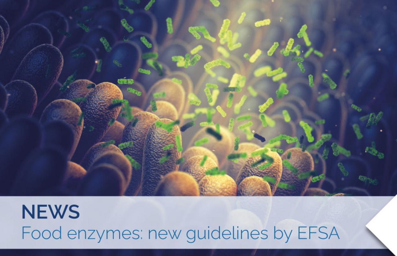 enzimi alimentari nuove linee guida efsa