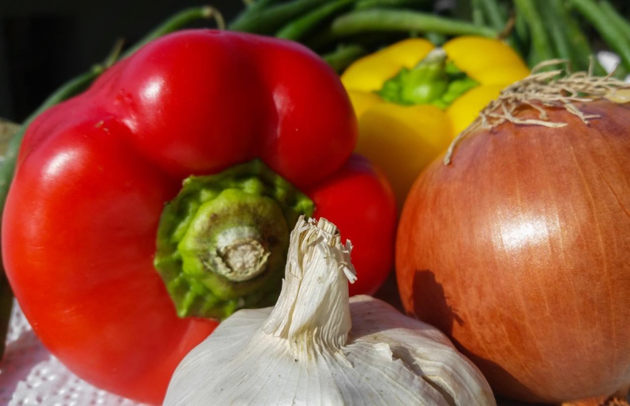 Mérieux NutriSciences_AgriFood Mérieux NutriSciences_AgriFood