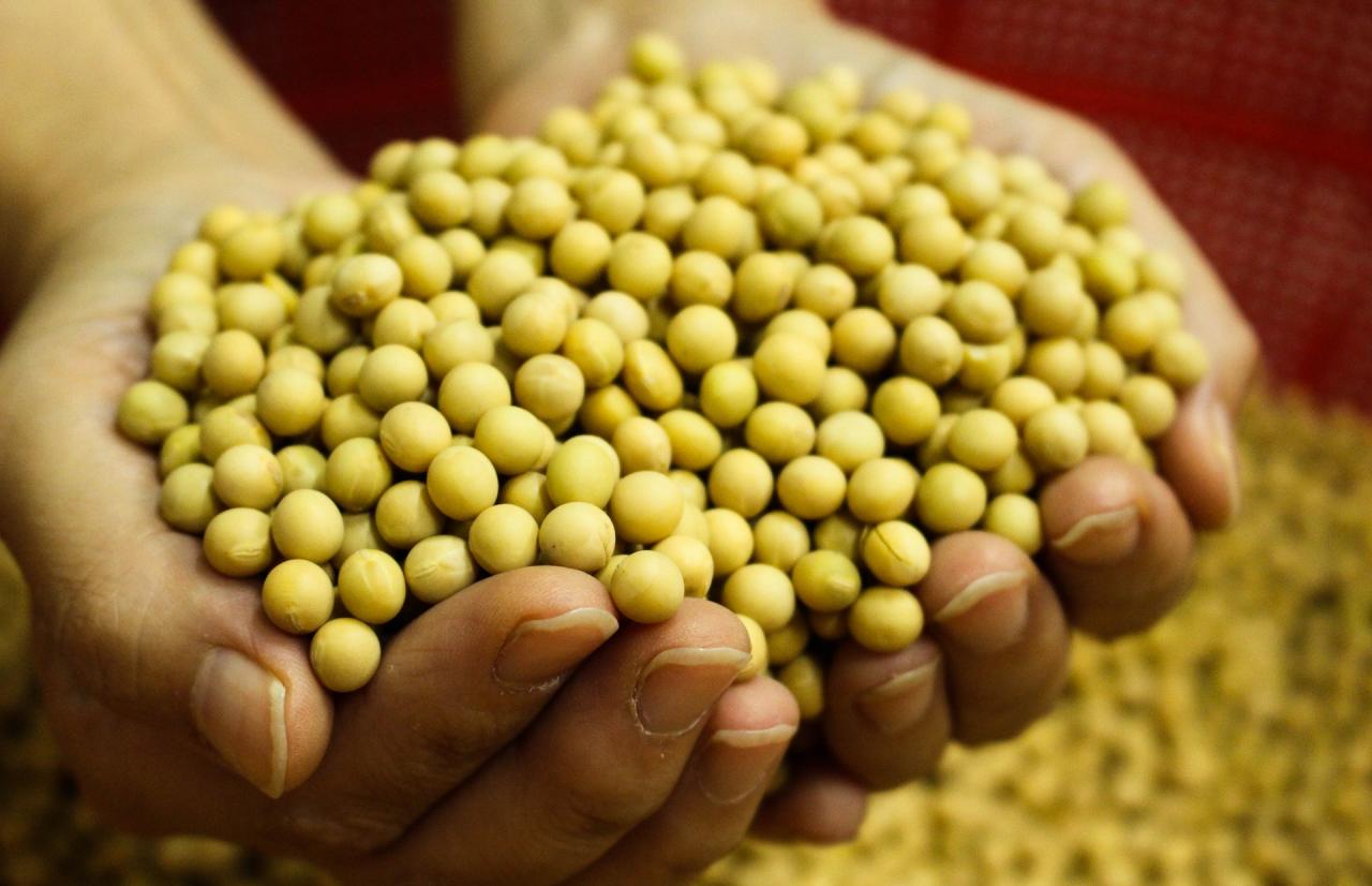 Mérieux NutriSciences_bean Mérieux NutriSciences_bean