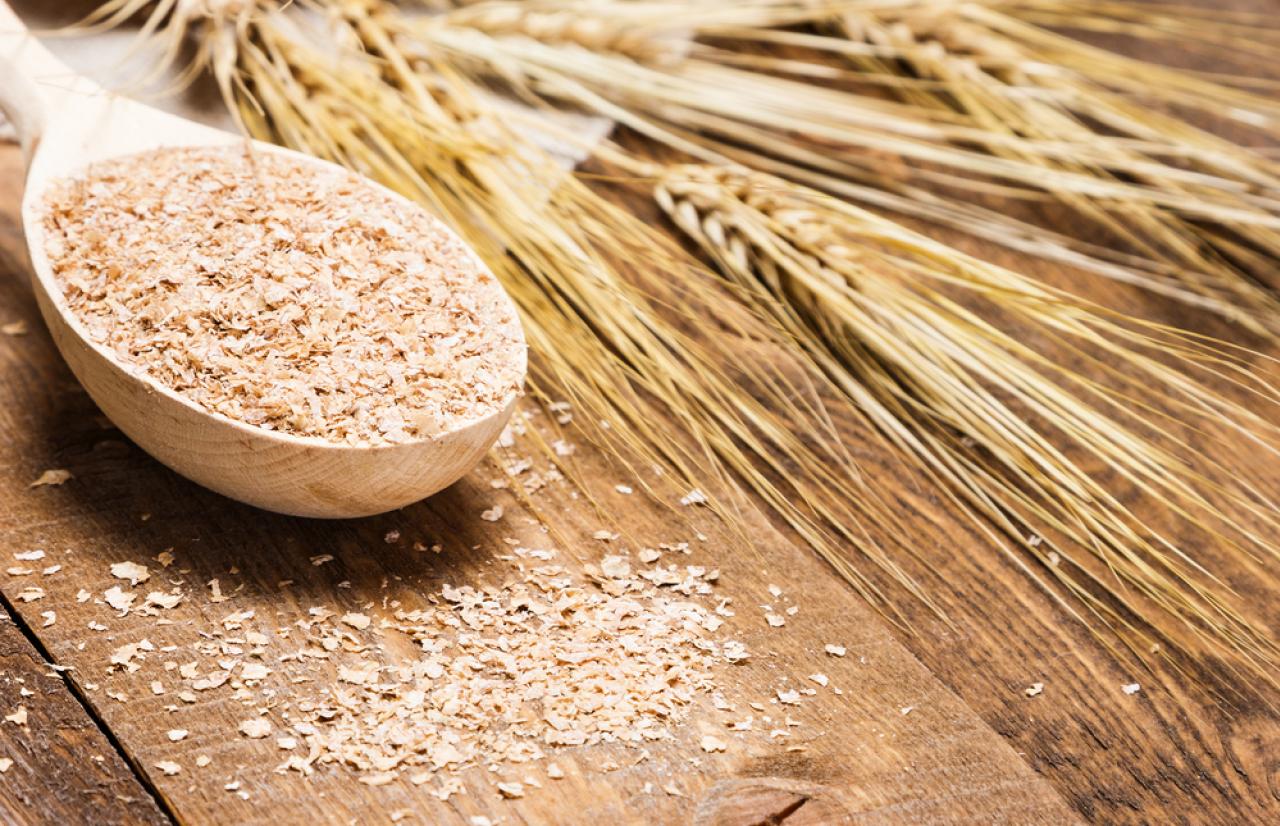 Mérieux NutriSciences_Dietary Fiber Mérieux NutriSciences_Dietary Fiber