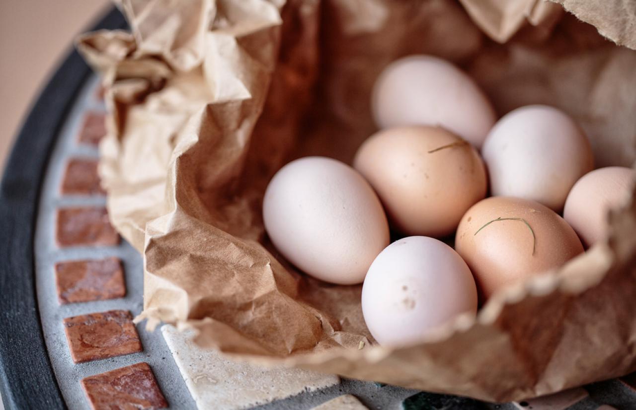 Méreiux NutriSciences_Eggs Méreiux NutriSciences_Eggs