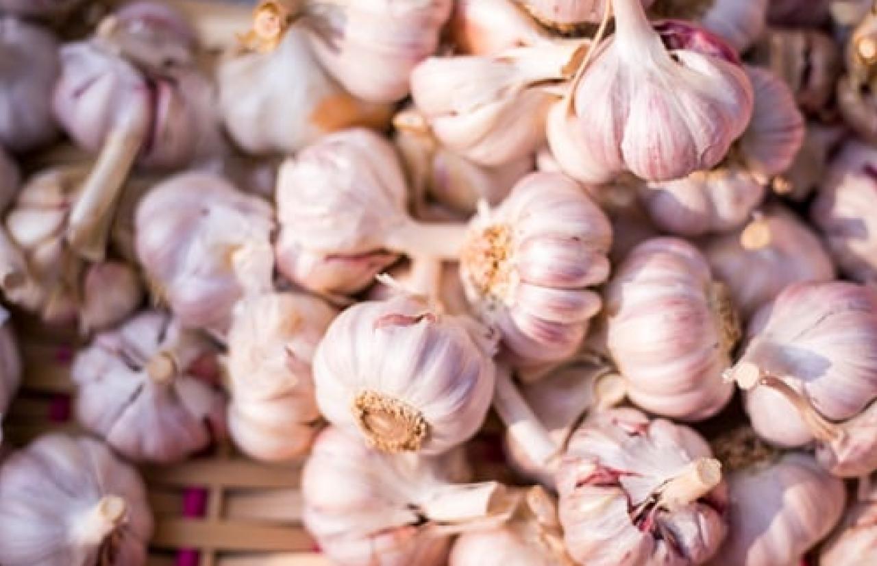 Merieux Nutrisciences_Garlic Merieux Nutrisciences_Garlic
