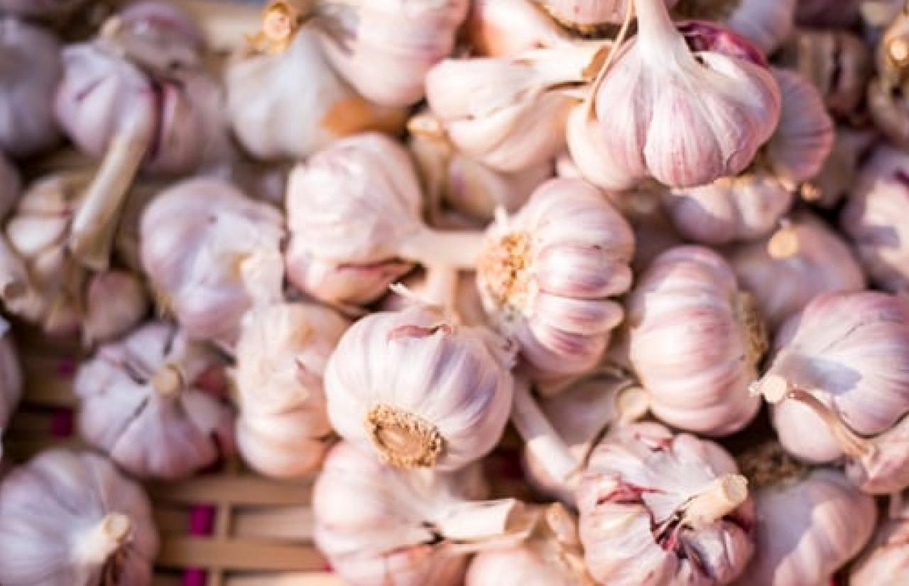 Merieux Nutrisciences_Garlic