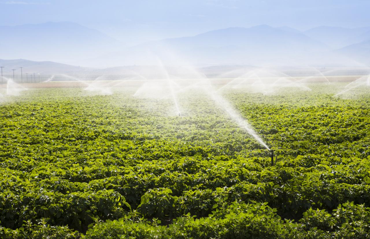 Mérieux NutriSciences_irrigation Mérieux NutriSciences_irrigation