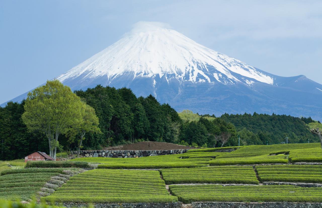 Mérieux NutriSciences_Japan