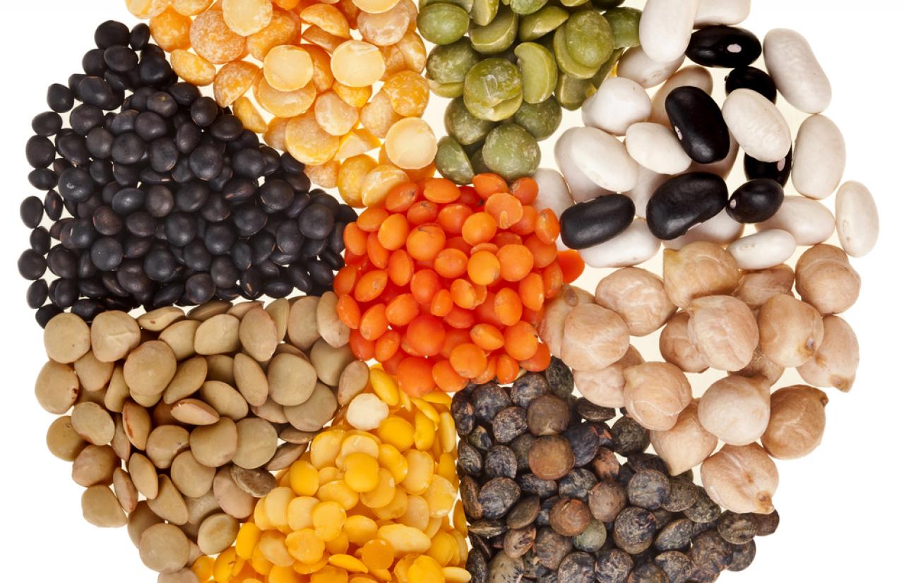 Mérieux NutriSciences_legumes Mérieux NutriSciences_legumes