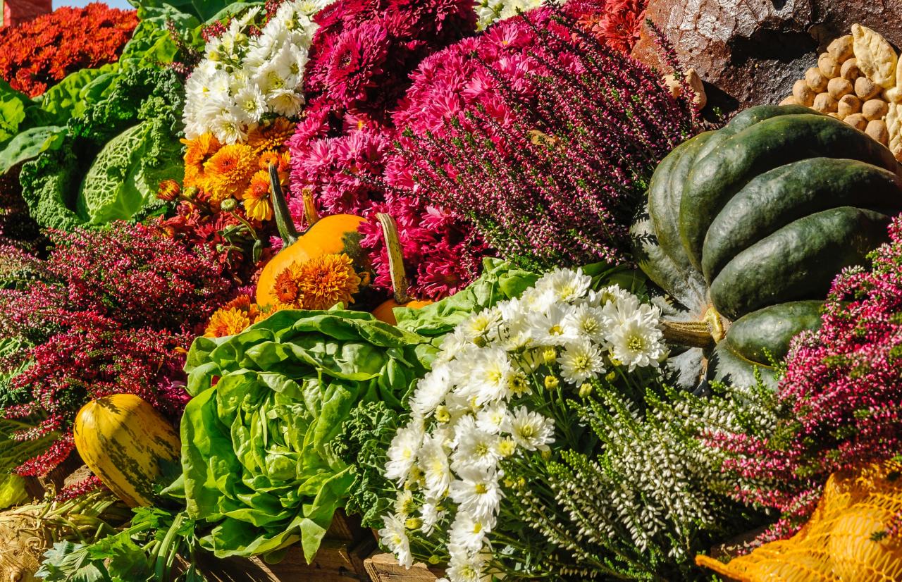 Mérieux NutriSciences_market Mérieux NutriSciences_market