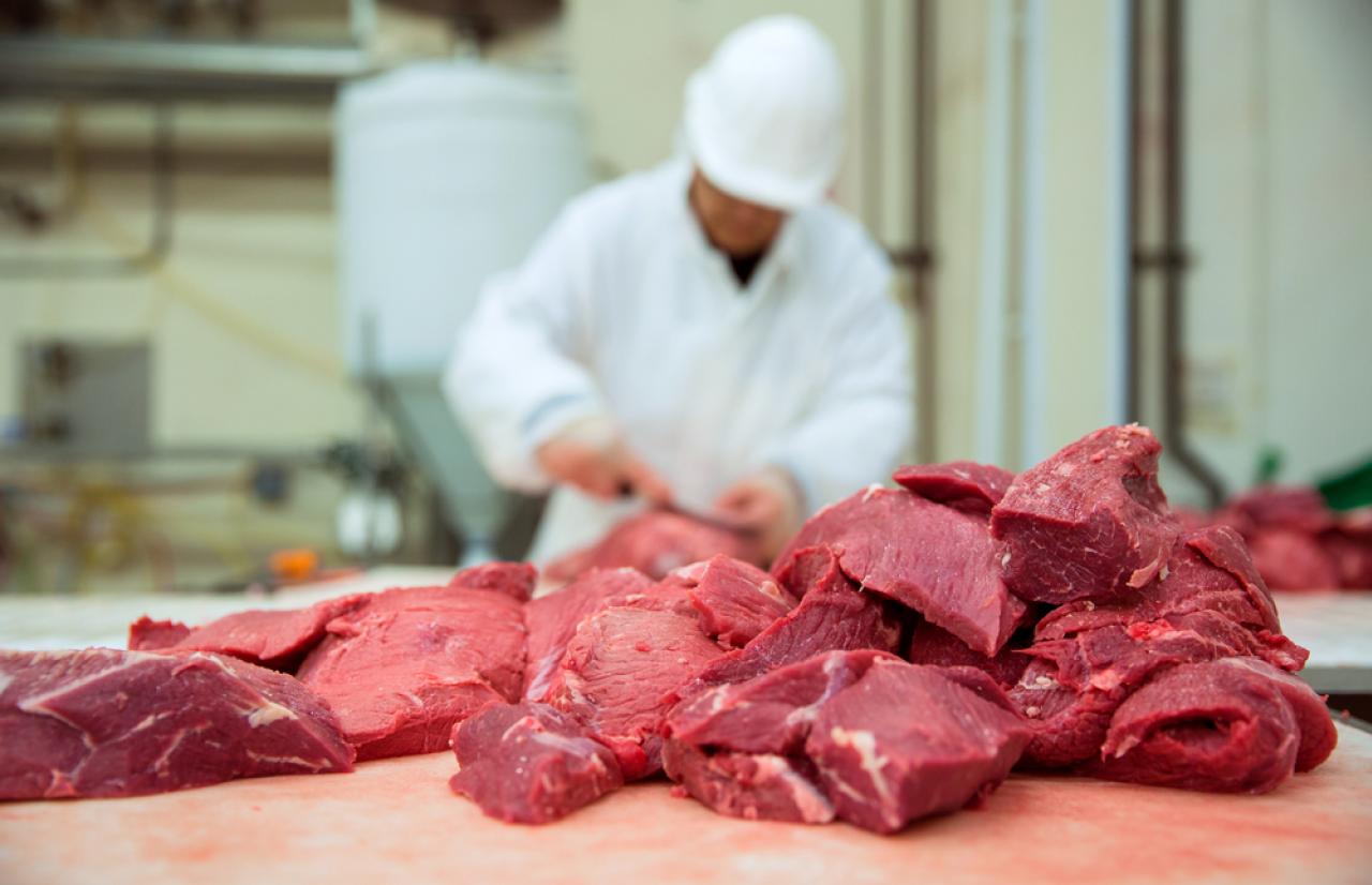 Mérieux NutriSciences_Meat Mérieux NutriSciences_Meat