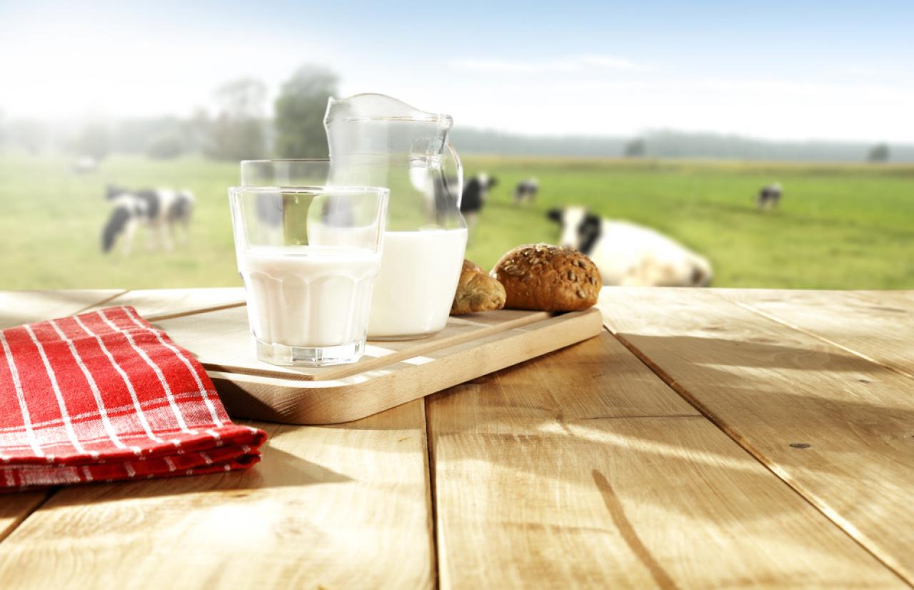 Mérieux NutriSciences_MIlk and cows Mérieux NutriSciences_MIlk and cows