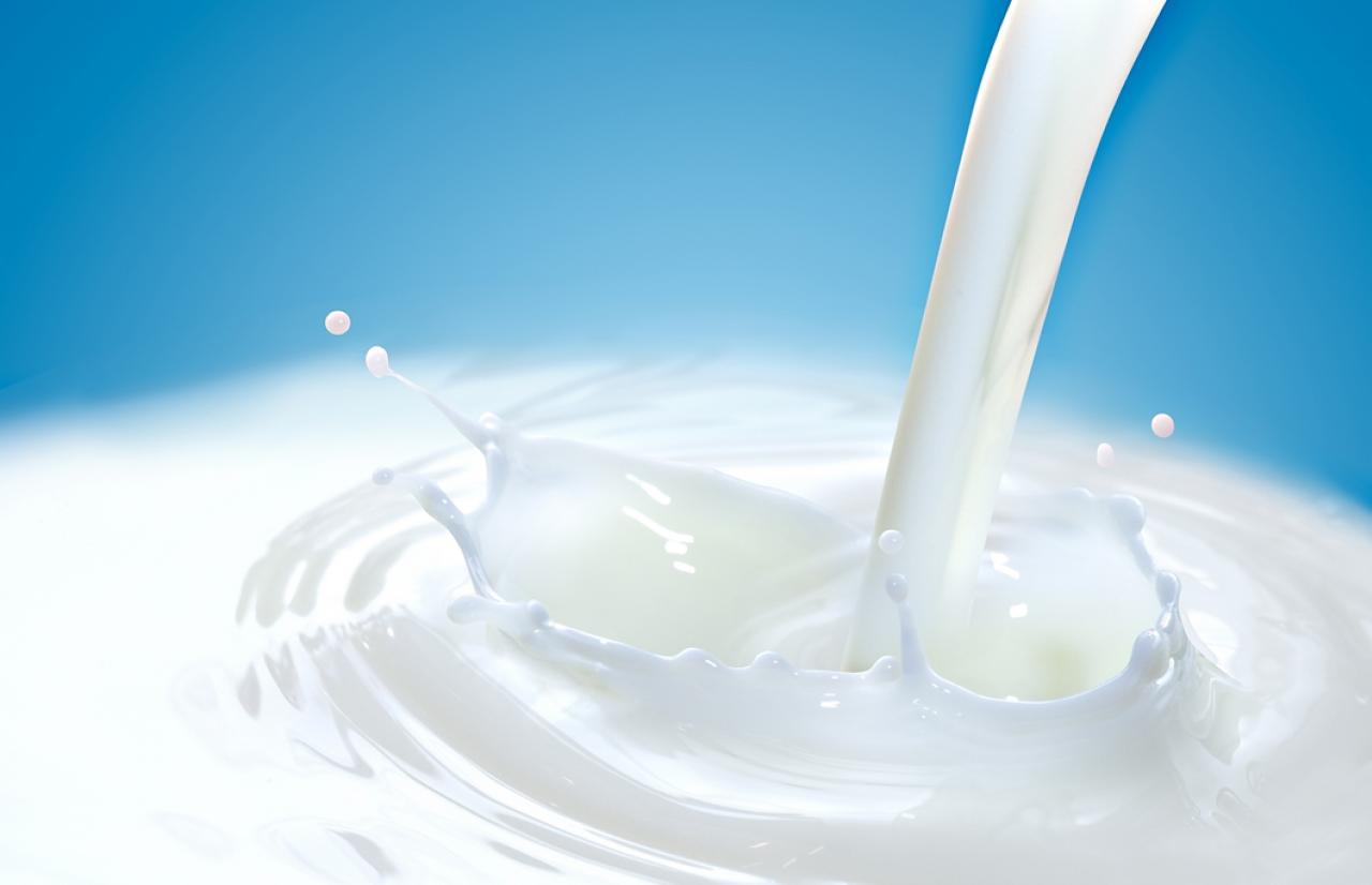 Mérieux NutriSciences_Milk Mérieux NutriSciences_Milk