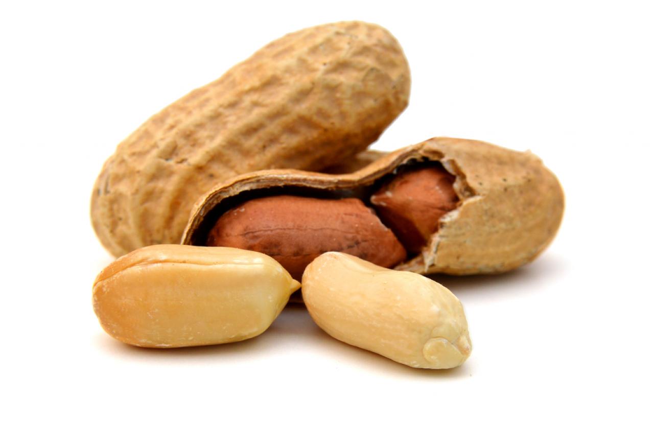 Mérieux NutriSciences_Peanuts Mérieux NutriSciences_Peanuts