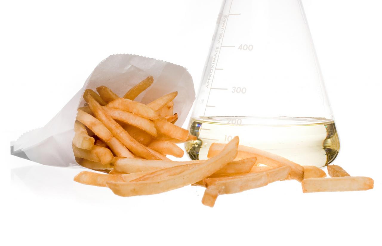 Mérieux NutriSciences Transfat Mérieux NutriSciences Transfat