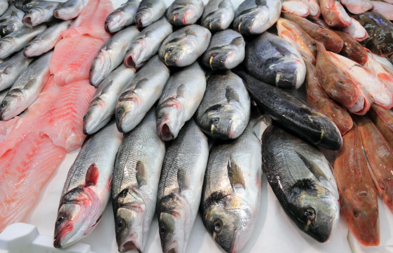 MérieuxNutriSciences_fish MérieuxNutriSciences_fish