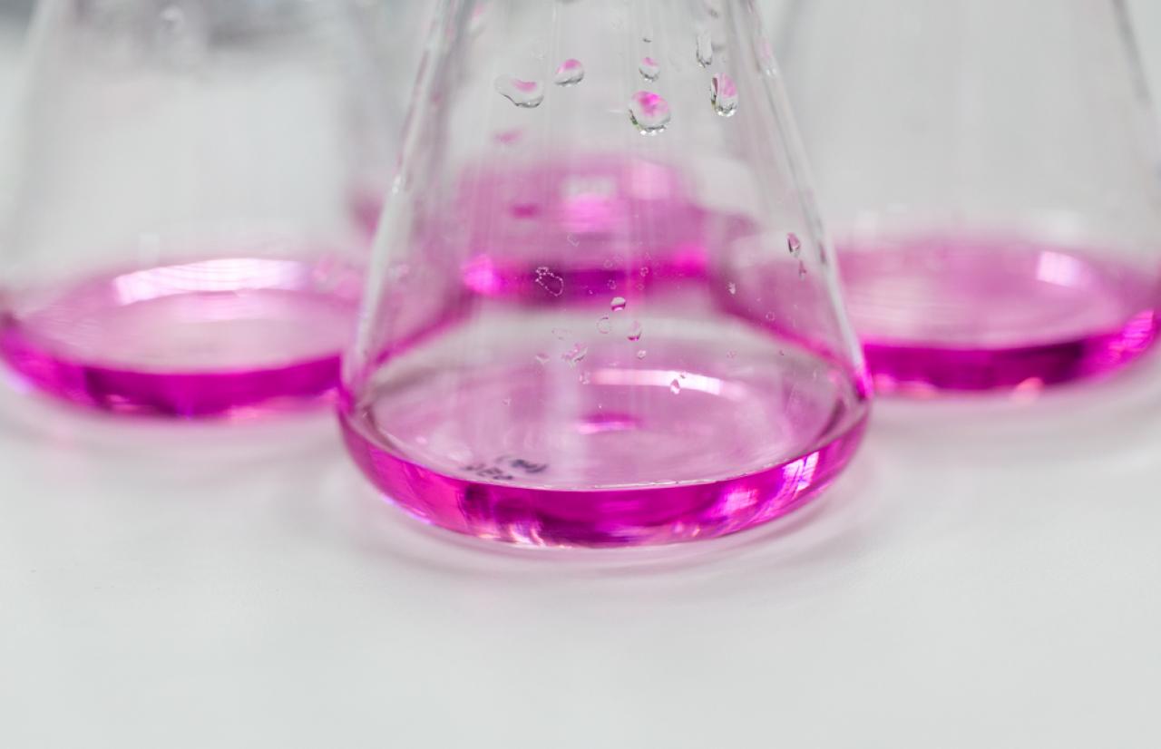 MérieuxNutriSciences_Nanop MérieuxNutriSciences_Nanop
