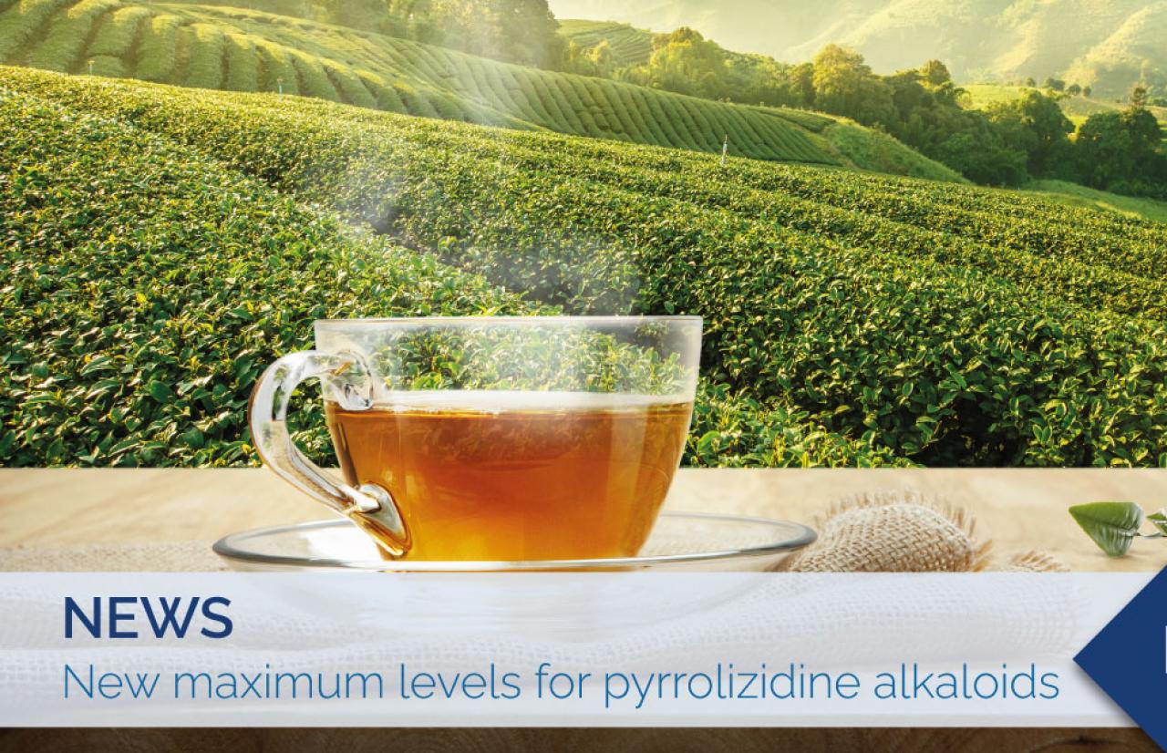 maximum levels of pyrrolizidine alkaloids