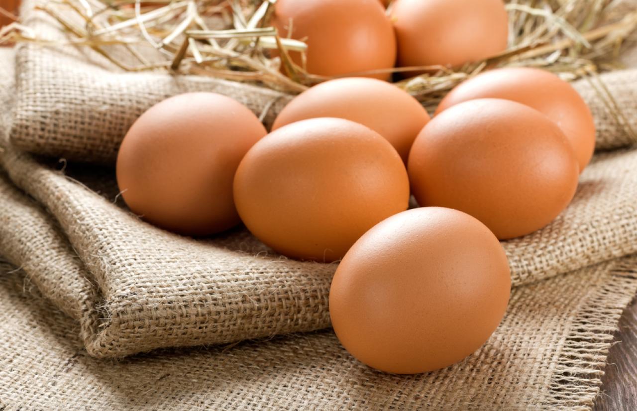 Mérieux NutriSciences_Eggs