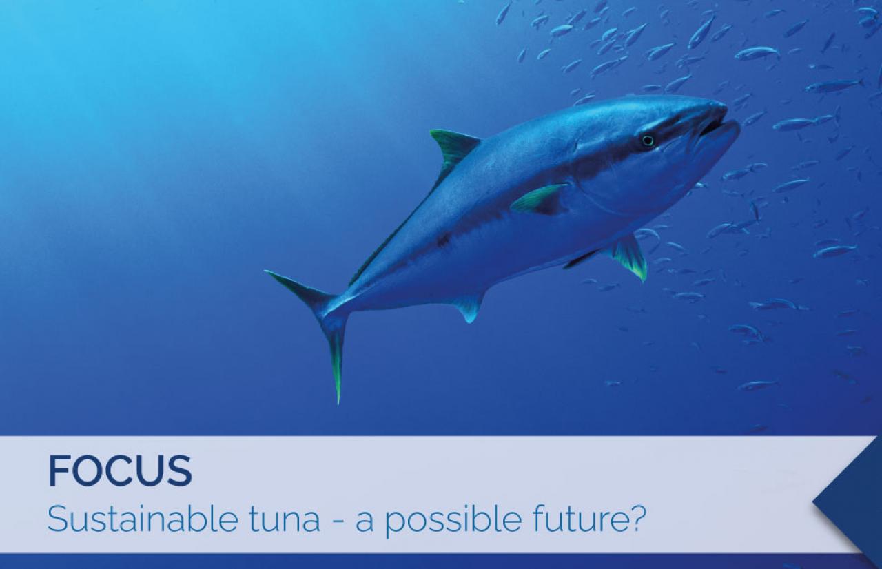sustainable tuna, sustainable fishing